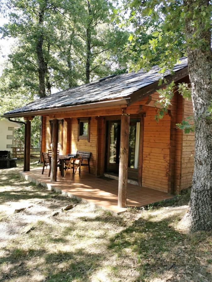 Maison d'hôtes La Albarina à Galende Extérieur photo